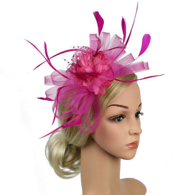 

Women Ladies Fascinator Flower Feather Hat Headband Wedding Party Mesh Headpiece