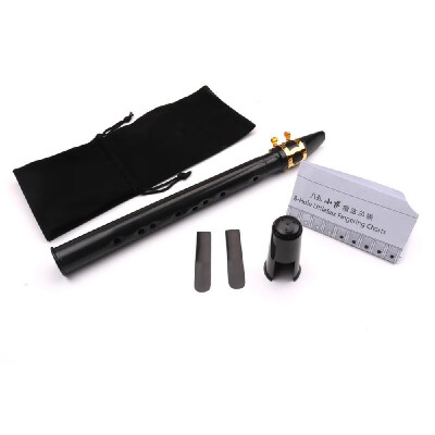 

Black Pocket Sax Mini Portable Saxophone Little Saxophone With Carrying Bag Woodwind Instrument