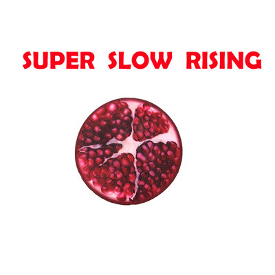 

Gotoamei Cute Small Fruits Stress Reliever Scented Super Slow Rising Toy