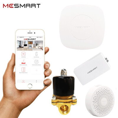 

Security Kit-Gas DetectorSmart ControllerSolid 12 Electric Solenoid Valve