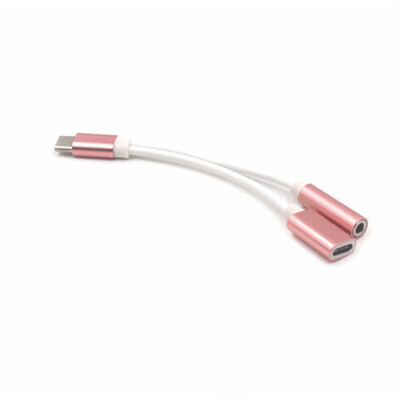 

2 in 1 USB-C to 35mm Audio Adapter 2 in 1 USB Type C Cable Fast Charge to 35mm Audio Jack Headphone Adapter Converter