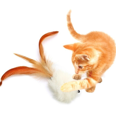 

Cat Stick Home Interactive Tease 5Pcs Replace The Head Cat Set Toys Feather Any Match Combination Of Funny Cat Suit For Gatos