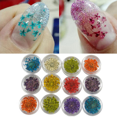 

Toponeto 12 Colors 3D Decoration Real Dry Dried Flower For UV Gel Acrylic Nail Art Tips