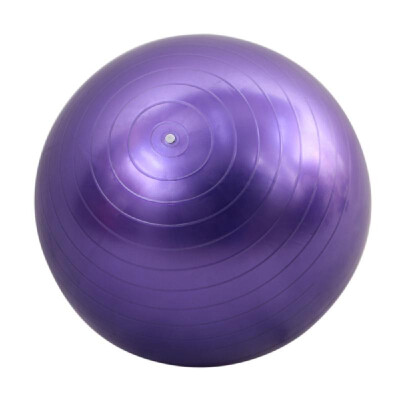 

65cm Fitness Exercise Gym Fit Yoga Core Ball Multi-use Indoor Fitness Training Yoga Ball