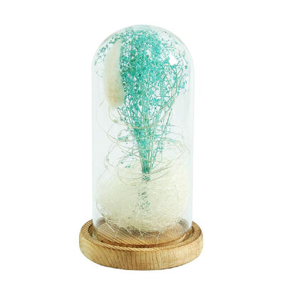 

Gypsophila Romantic Simulation Glass Cover Led Micro Landscape Home Night Light Decor