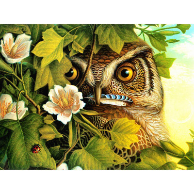 

Embroidery Sale Full Square Animal Owl 5D Diamond Painting Picture Rhinestone Diamond Mosaic Home Decor Drop Ship