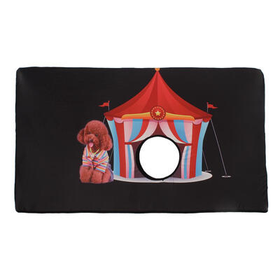 

Peekapet Floral Printed Dog Car Window Cover Elastic Vehicle Window Curtain