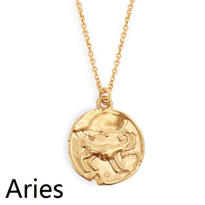 

Star Zodiac Sign 12 Constellation Coin Necklaces & Pendants Choker Necklaces for Women Long Chain Necklace bijoux femme