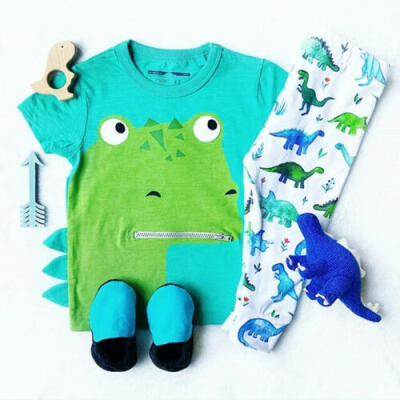 

Newborn Baby Boy Girl Dinosaur T-shirt Tops Pants Outfits Set Kid Clothes 0-24M