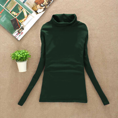 

2017 Women Turtleneck Long Sleeve Slim Tops Knit Sweater Solid Blouse T-shirts