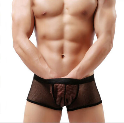 

Mens Mesh Thong Trunks Briefs G-string Transparent Underwear Underpants