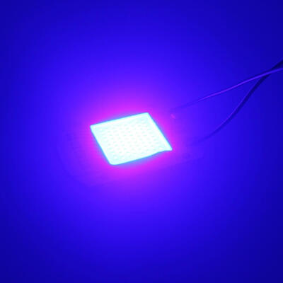 

Plant Grow LightLED COB Grow Chips Smart Driver 50W 220V For LED Flood Light High Voltage High Efficiency Source Full Spectrum