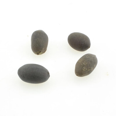 

4pcsBag Aquatic Flower Seeds Plants Seeds for Home Decorations Garden Plant Seeds