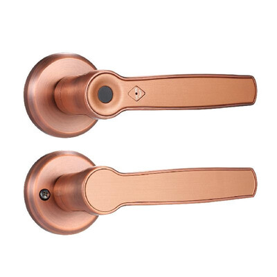 

Intelligent Fingerprint Lock Set Keyless Door Lever Electronic Biometric Anti-Theft Hardware Door Locks with Deadbolt for Home Off