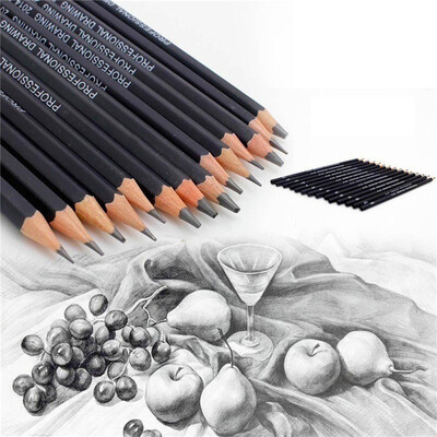 

Siaonvr 14PC Painting Tool 6H-12B Professinal Sketch Art Drawing Pencil Sketching Pencil