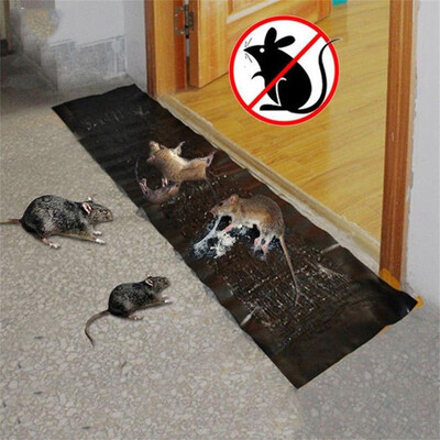 

〖Follure〗Big Size Mice Mouse Rodent Glue Traps Board Super Sticky Rat Snake Bugs Safe