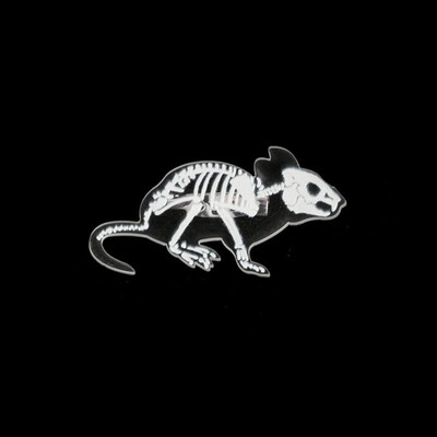 

Halloween Transparent Resin Brooches Pins Cartoon Cartoon Animal Collar Badge for Jeans Bags Backpacks Party Costume Decorations