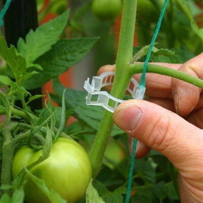 

50 Trellis Tomato Clips - SupportsConnects PlantsVines TrellisTwineCages