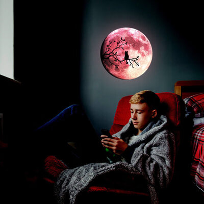 

Creative MoonBranchKitten Luminous Wall Sticker Removable Mural Decal Decor