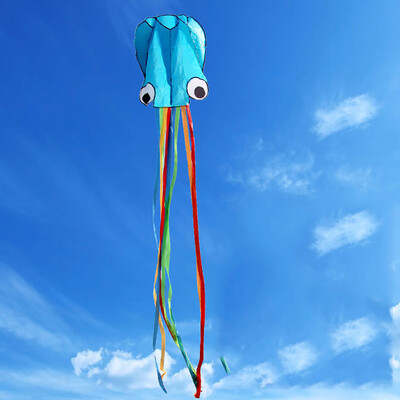 

Tailored Large Octopus Long Tail Beach Kites-Perfect Toy for Kids&Adults Outdoor Game