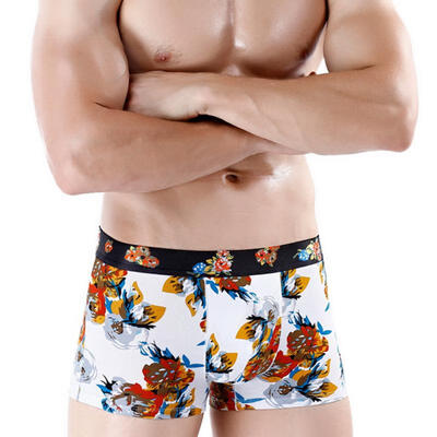 

Mens Print Boxer Briefs Quick-Dry Breathable Pouch Underwear