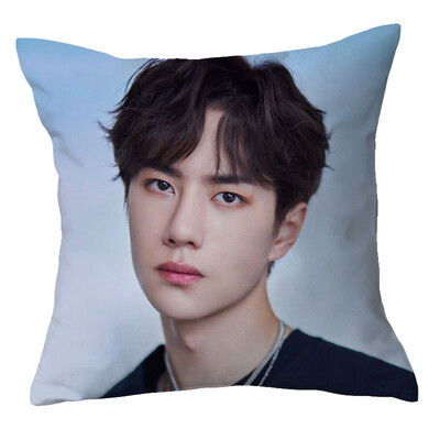 

1Pc Chen Qingling Wang Yibo Pillow Case Cover Cushion Sofa Car Winter Home Decor