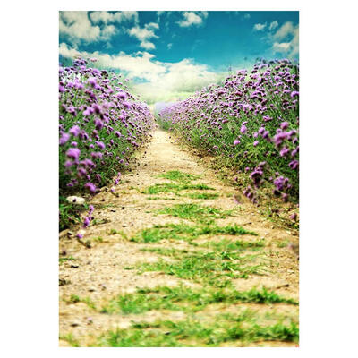 

Photography Background Village Lane Wall Studio Props Backdrop Fabric Decor