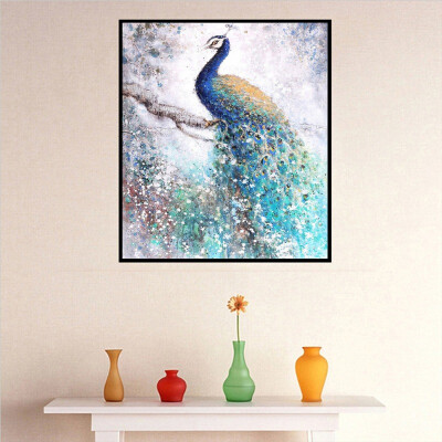 

30 x 40cm Peacock Cat Planet Pattern 5D DIY Full Diamond Painting Cross Stitch Paint By Number Kit for Adults Kids Home Decor