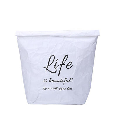 

Foldable Reusable Food Storage Large Capacity Kraft Paper Picnic Lunch Bag