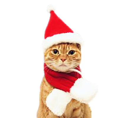

Pet Dog Popular Christmas Costume Hat Scarf Suit Cloak Modern up Perfect Year