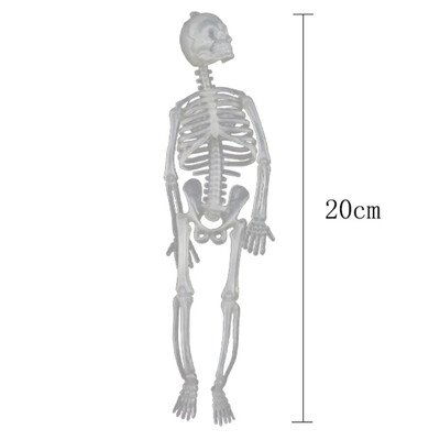 

Halloween Horror Luminous Skull Plastic Skeleton Glow In The Dark For Ghost House Decoration Scene Layout Props Random Color