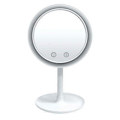 

5X Magnifier LED Lamp Desktop Makeup Mirror Beauty Breeze Mirror with Fan
