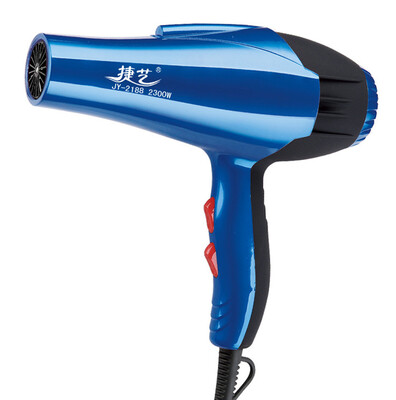 

〖Follure〗Five stalls Professional Hair Blow Dryer 2300W Blower Dryer Beauty Salon