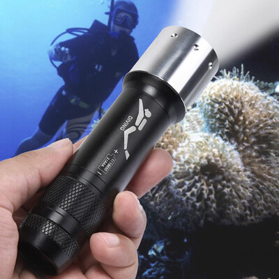 

Saidsome Diving Light 8000 LM XML T6 LED Underwater 50M Waterproof 18650AAA Battery flashlight lamp