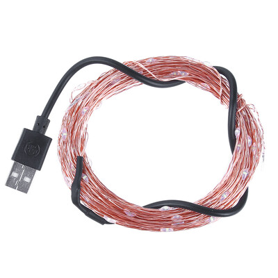 

DC5V 10m 100 LED String USB Copper Wire Fairy Lights Christmas Party Decor