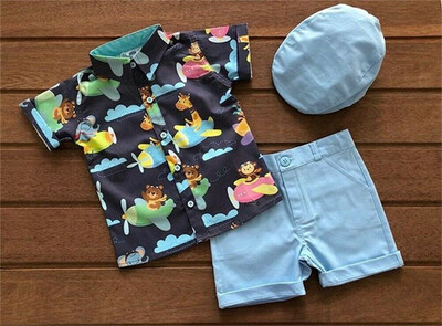 

Toddler Kids Baby Boy Animal Clothes Shirt Tops Shorts Pants Outfits 1-6Years