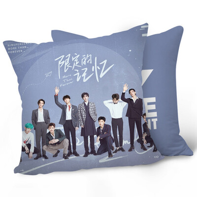 

NINE PERCENT Double-sided Pillow Case Sofa Car Waist Pad