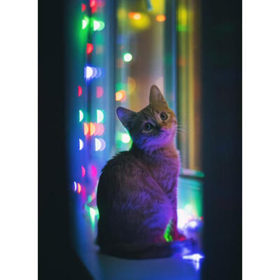 

5D DIY Full Drill Diamond Painting Thinking Cat Night Cross Stitch Mosaic
