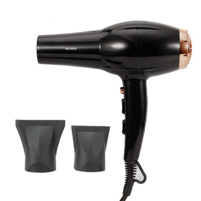 

Greensen 3000W Intelligent Pet Hair Dryer Low Noise Powerful Household Electric Blow Dryer EU Plug 220V