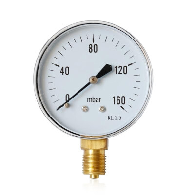 

Y60 Pressure Gauge Radial Pressure Gauge High Quality Oil Pressure Manometer Water Pressure Meter Precision 14 BSPT Gas Pressure