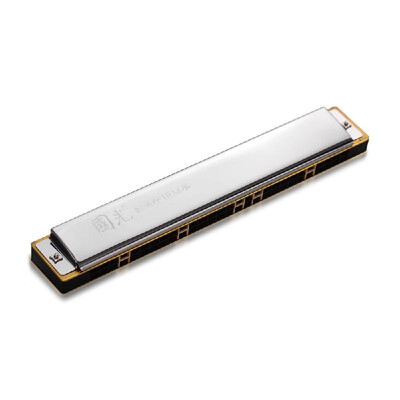 

28 Hole Wide Range Harmonica Key of C Tremolo Harmonica Mouthorgan Professional Wind Instrument Black