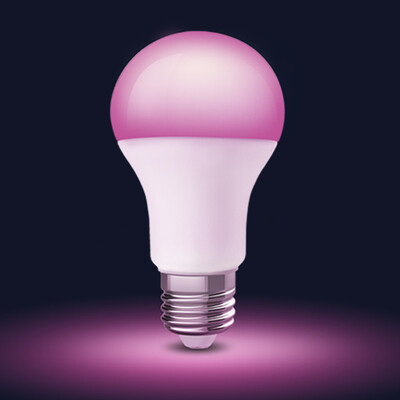 

Mijia Philips color light bulb