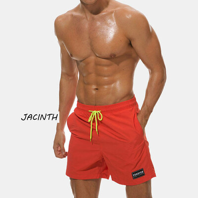 

Mens Beach Board Swimwear Swim Trunks Surf Quick Dry Stretch Shorts Surf Pants