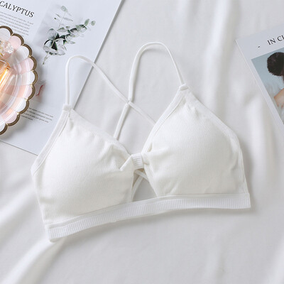 

Sexy Lady Beauty Back Gather Bow Tie Tube Top Underwear Triangle Cup Bra