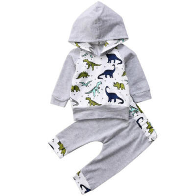 

AU Newborn Baby Kid Boy Hooded Dinosaur Tops ShirtPant Outfit Tracksuit Clothes