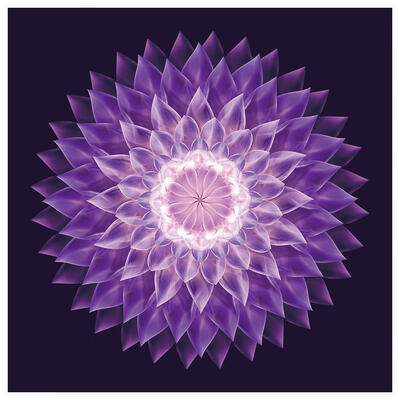 

5D DIY Special Shaped Diamond Painting Dream Flower Cross Stitch Embroidery