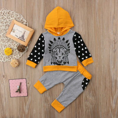 

Toddler Baby Girls Animals Outfits Clothes Hoodie TopsPants 2PCS Outfits Set