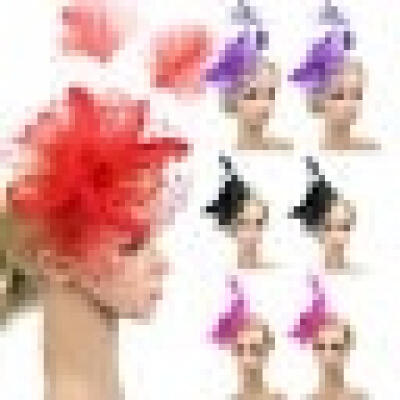 

Details about DRESHOW Feather Mesh Fascinators Hat Flower Ribbons With Headband Forked Clip