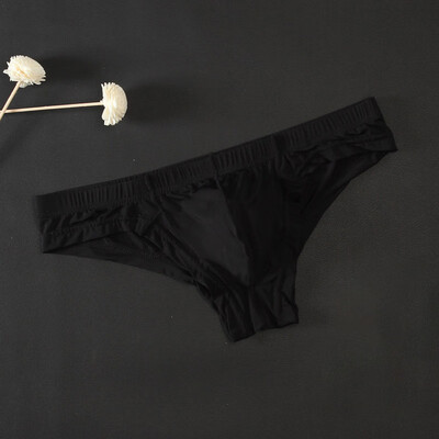 

Mens Bulge Pouch Knickers Thongs Underwear Low Rise See Through Lingerie Briefs