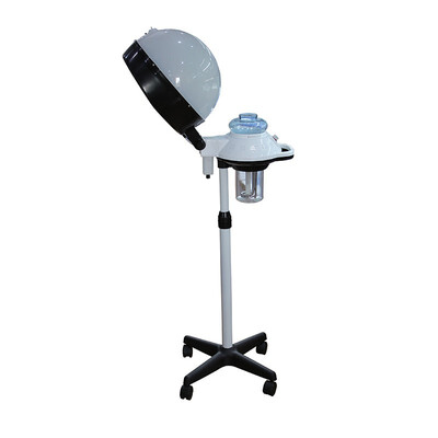

Eu tax free Professional Hair Steamer Equipment Hair Care nourishing Beauty Hair Dryer Hair conditioning 910 CE